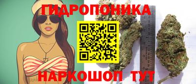 СК Ливны