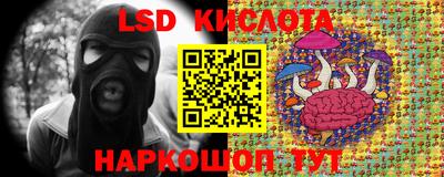 крисы Лесосибирск
