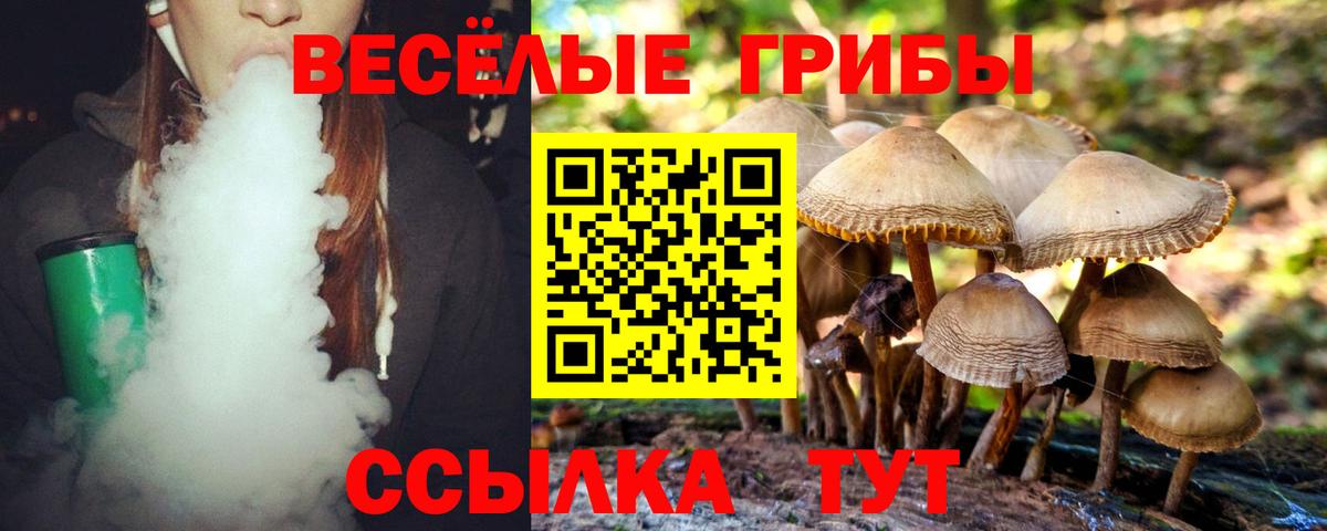 Галлюциногенные грибы GOLDEN TEACHER  Вход с VPN  Грязи  Псилоцибиновые грибы прущие грибы 