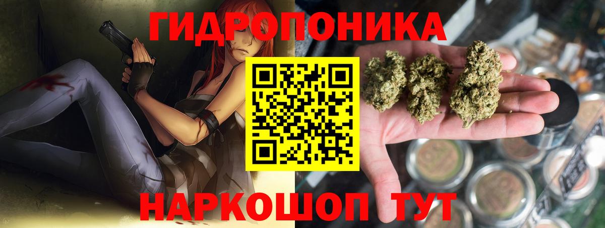 Бошки Шишки семена Грязи